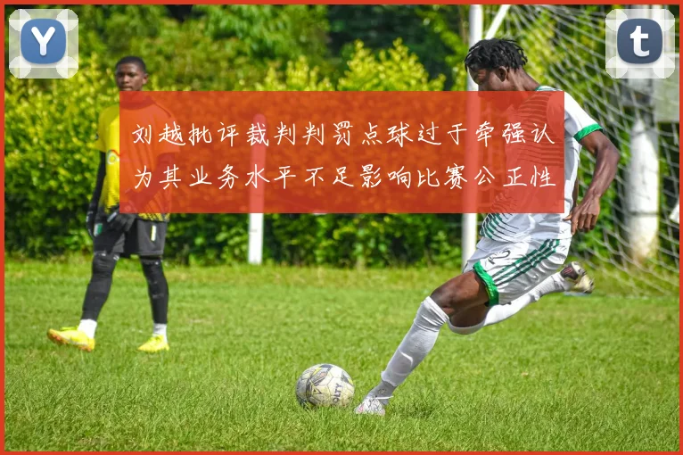 刘越批评裁判判罚点球过于牵强认为其业务水平不足影响比赛公正性