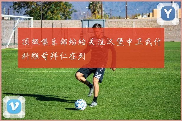 顶级俱乐部纷纷关注汉堡中卫武什科维奇拜仁在列