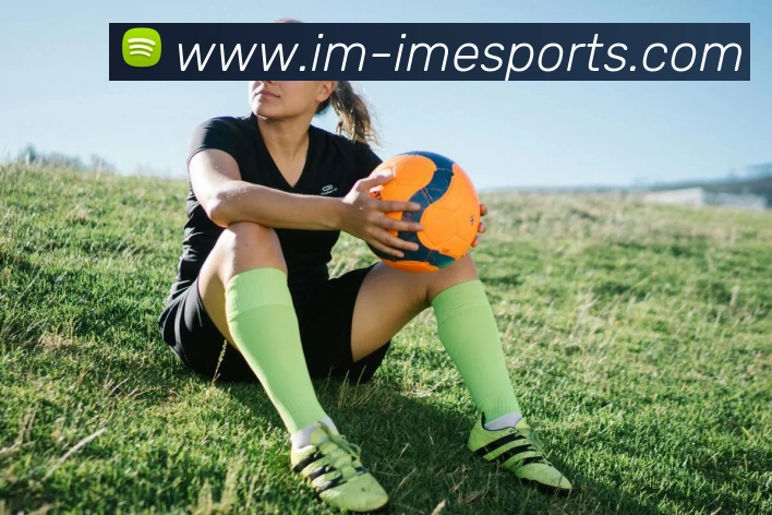 IM电竞平台生态图